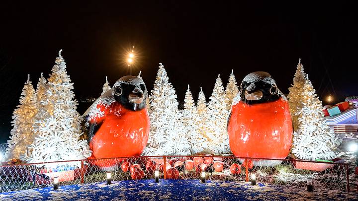 Фото: Дмитрий Дубинский / Вечерняя Москва