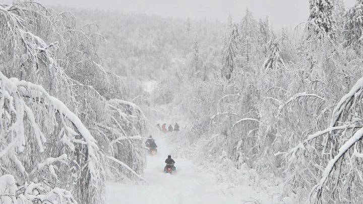 Туристы пропали у горы Ослянка: что с ними случилось, ищут ли их и нашли ли кого-то, детали произошедшего