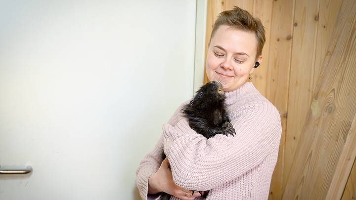 Городская ферма на ВДНХ / Фото: Дмитрий Дубинский / Вечерняя Москва