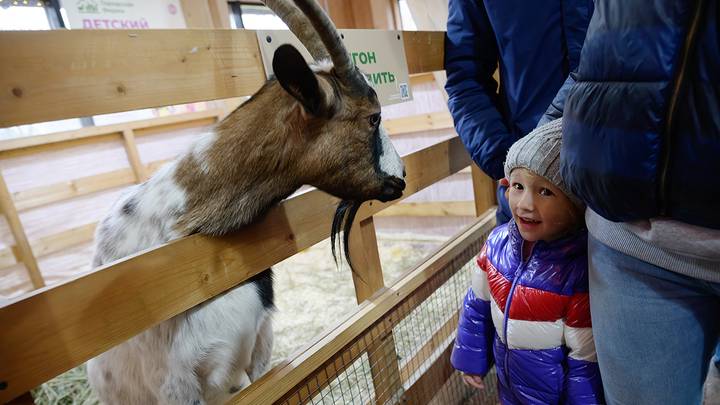 Городская ферма на ВДНХ / Фото: Дмитрий Дубинский / Вечерняя Москва