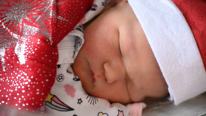 Фото: Пелагия Замятина / Вечерняя Москва