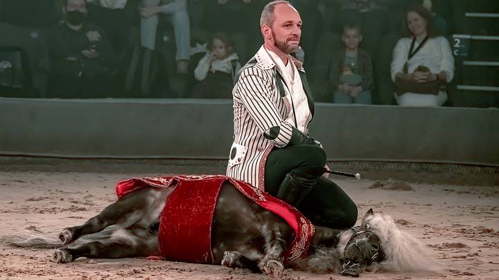 Показ спектакля «Конек-Огонек» на историческом манеже Центра национальных конных традиций / Фото: Дмитрий Дубинский / Вечерняя Москва