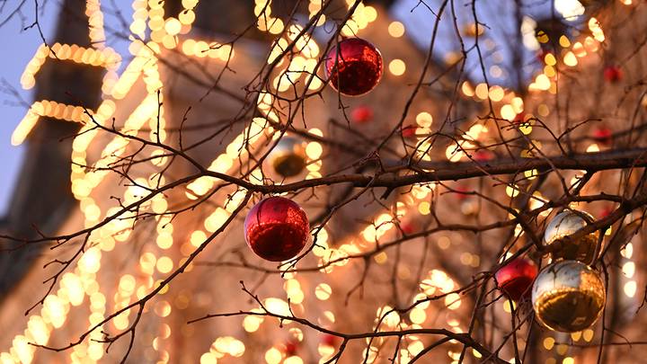 Фото: Анатолий Цымбалюк / Вечерняя Москва