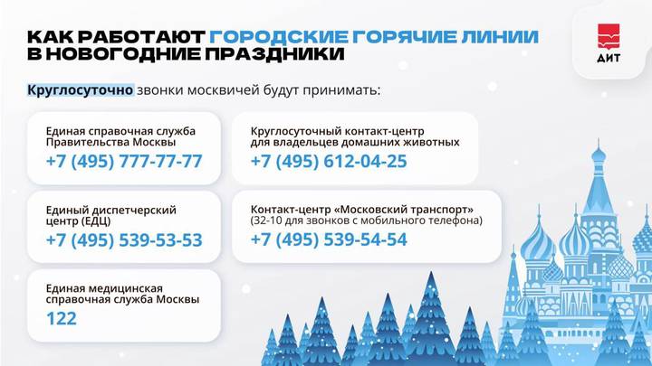 Собянин напомнил о горячих линиях для обращения во время новогодних каникул