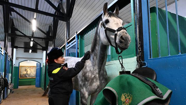 Фото: Мария Хапцова / Вечерняя Москва