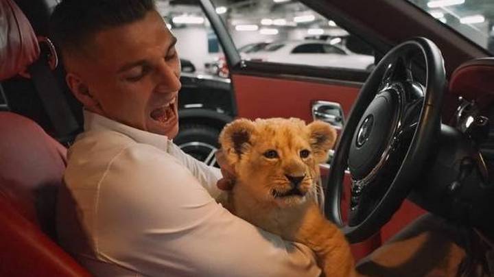 Блогер держал львенка в «Москве-Сити»: что с животным, жив ли он и что грозит его хозяину