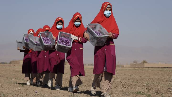 Какие запреты действуют для женщин в Афганистане