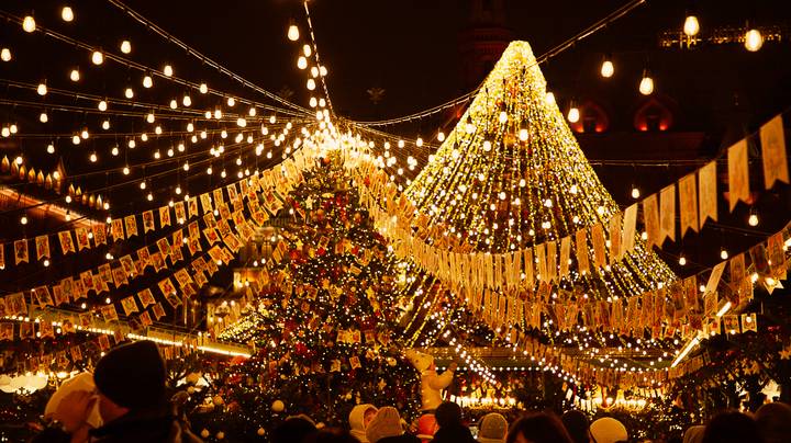 Фото: Андрей Прошин / Вечерняя Москва