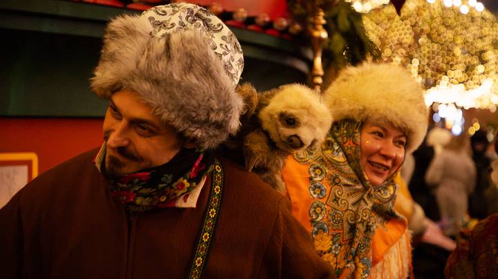 Фото: Андрей Прошин / Вечерняя Москва