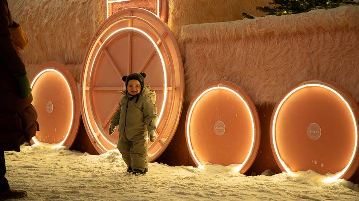 Фото: Андрей Прошин / Вечерняя Москва 