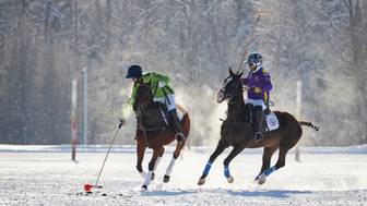 Почему поло становится популярным у москвичей