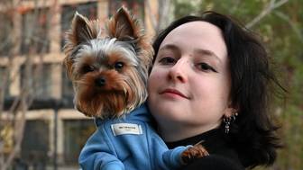 Как защитить питомца от переохлаждения во время сильных морозов