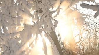 Январь в Москве занял третье место в списке самых влажных в XXI веке