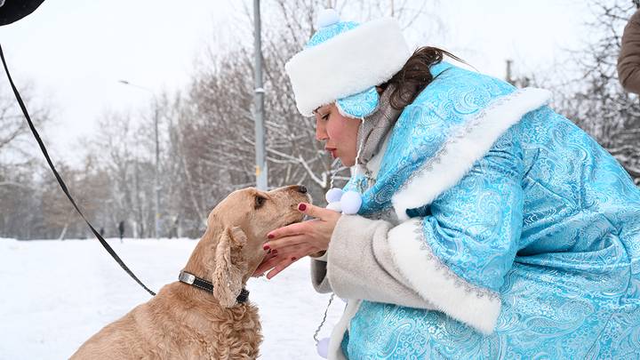 Фото: Мария Хапцова / Вечерняя Москва