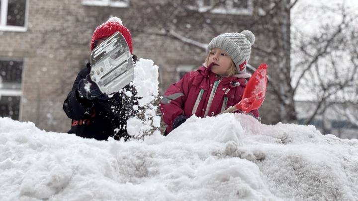 Фото: Василиса Чернявская / Вечерняя Москва