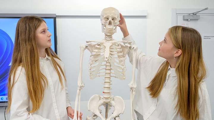 Фото: Дмитрий Дубинский / Вечерняя Москва