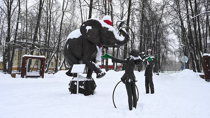 Фото: Анатолий Цымбалюк / Вечерняя Москва