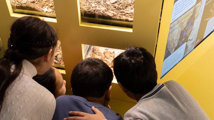 Москвичей пригласили посетить энтомологическую лабораторию в «Биокластере»