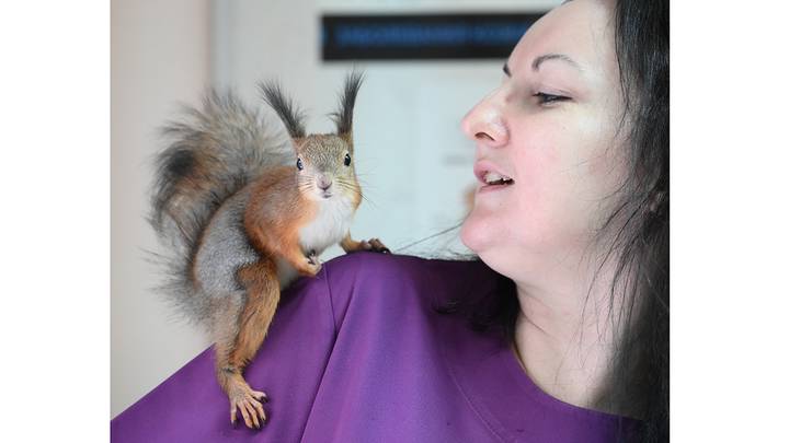 Фото: Пелагия Замятина / Вечерняя Москва