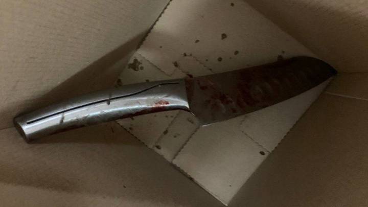 Москвич попытался зарезать жену и сына: ссора из-за таблеток, психические расстройства и уголовное дело