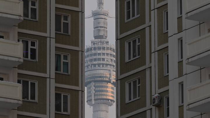 Фото: Анатолий Цымбалюк / Вечерняя Москва