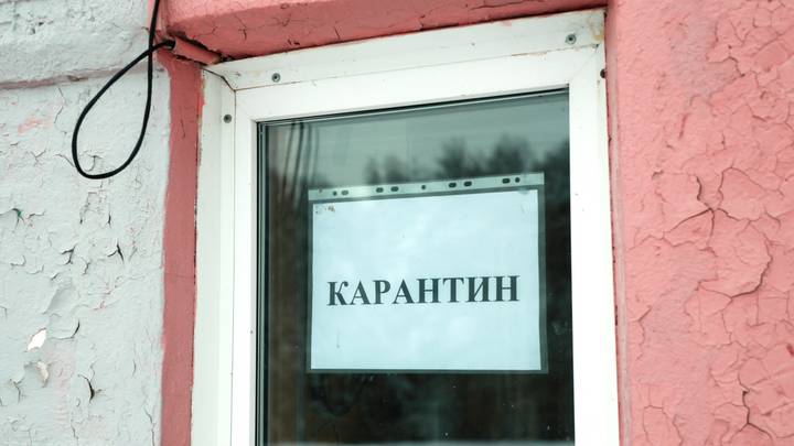 Девять постояльцев умерли в интернате в Прокопьевске: как они заразились гриппом, какой ужас там происходил