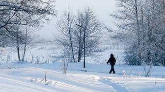 Когда в Москву вернется зимняя погода после оттепели