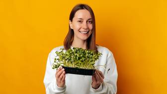 Что можно вырастить дома на подоконнике