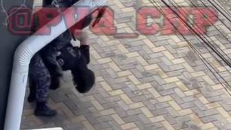 Стала известна личность напавшего на колледж в Анапе