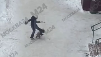 Девочка избила собаку на прогулке в одном из дворов в Щелкове