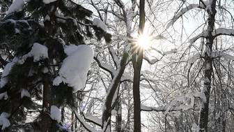 Стало известно, как единственный выживший в пермских горах турист смог спастись