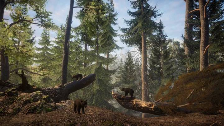 Спектакли, выставки, концерты и стендап: куда сходить в столице в феврале