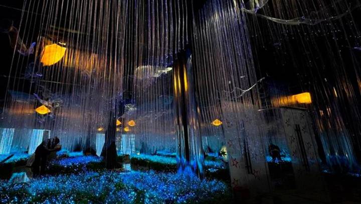 Спектакли, выставки, концерты и стендап: куда сходить в столице в феврале