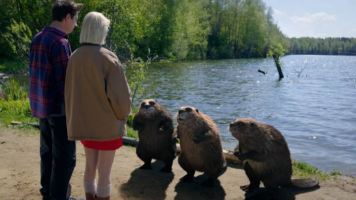 Сериал «Не в своей тарелке»: дата выхода, трейлер, первые кадры, сюжет и актеры