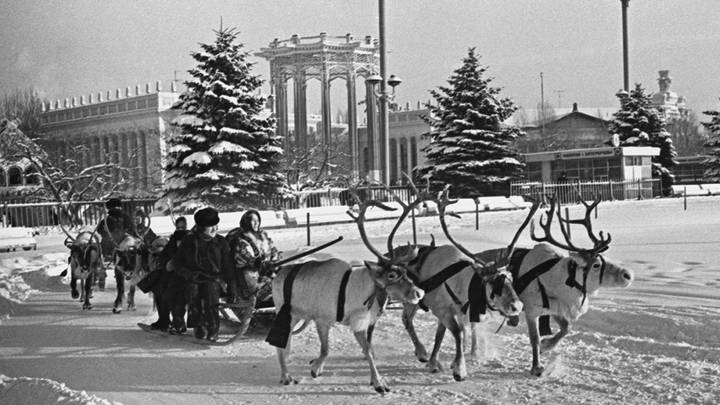 Кулешов Николай/Фотохроника ТАСС