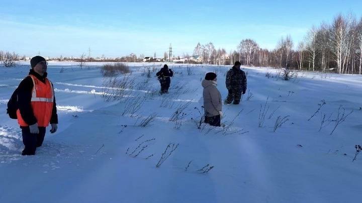 Смерть Елизаветы Овчинниковой в Зауральском: как пропала, где нашли тело, причина гибели, загадочные обстоятельства