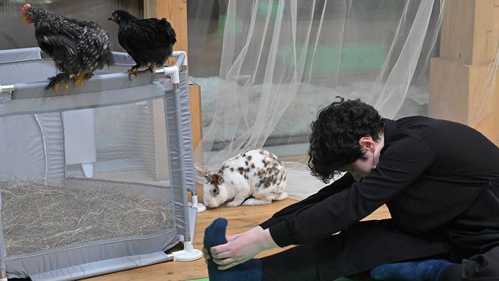 Йога с животными на Городской ферме ВДНХ / Фото: Александр Кочубей / Вечерняя Москва