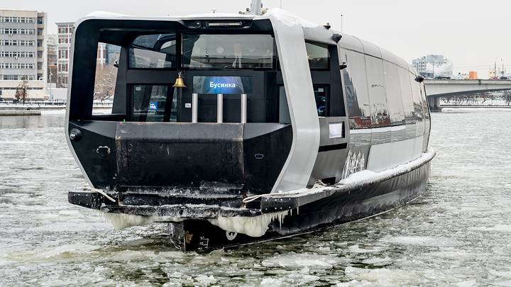 Фото: Дмитрий Дубинский / Вечерняя Москва