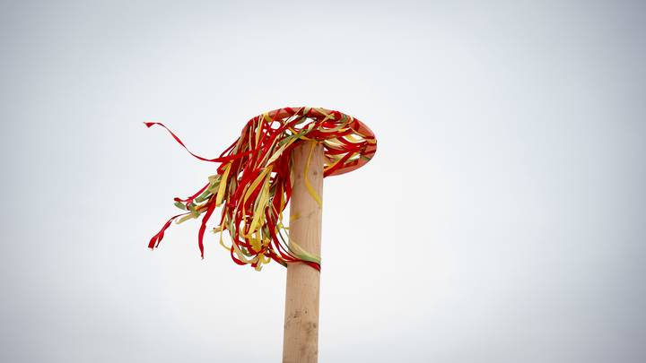 Фото: Андрей Прошин / Вечерняя Москва