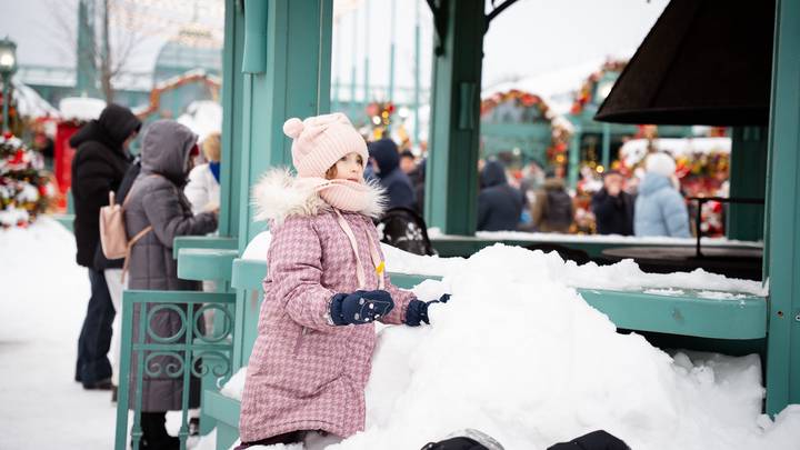 Фото: Андрей Прошин / Вечерняя Москва