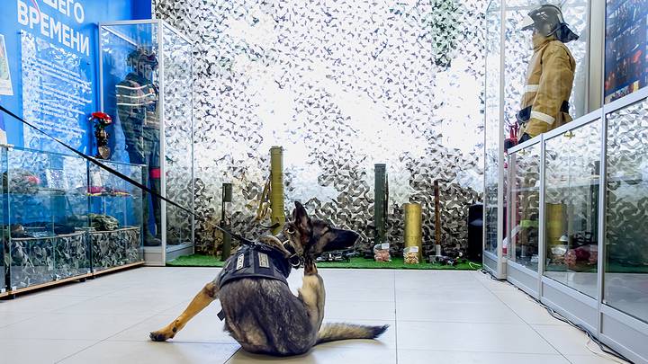 Фото: Дмитрий Дубинский / Вечерняя Москва