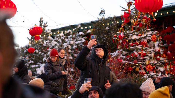 Фото: Андрей Прошин / Вечерняя Москва