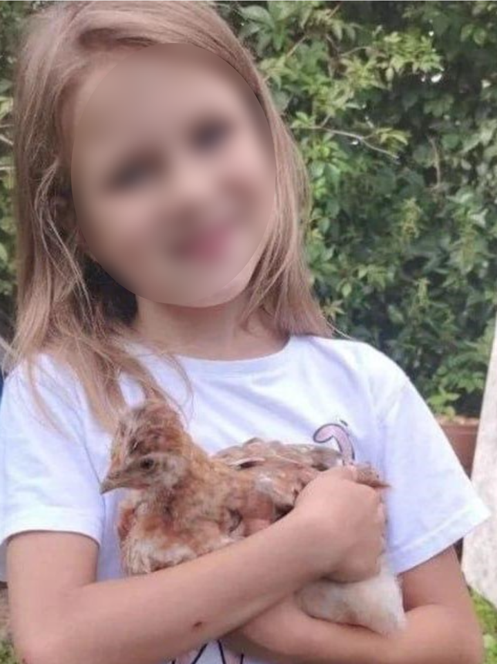 Девятилетнюю девочку ищут в Смоленске: версии, семья и расследование, главное о поисках