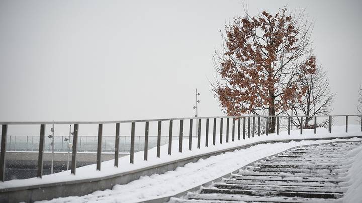 Фото: Пелагия Замятина / Вечерняя Москва