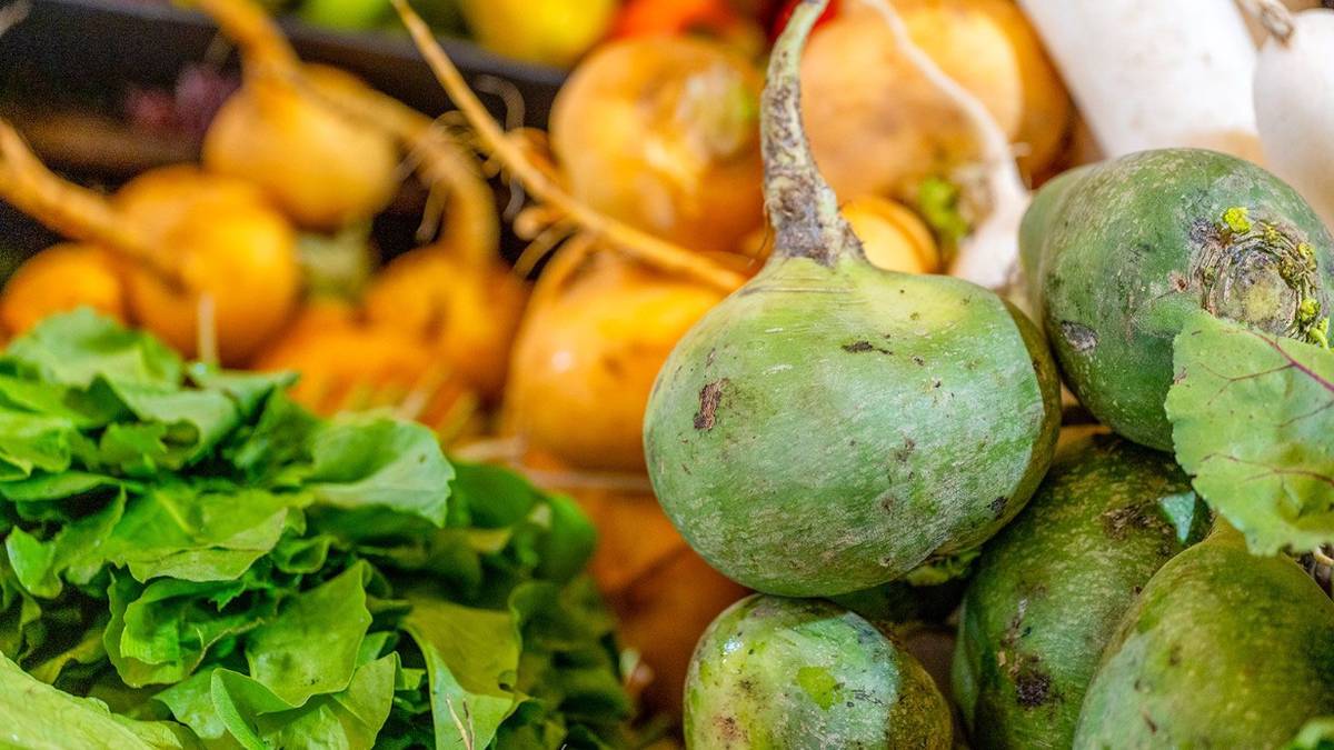 In Moscow showrooms you can find Lenten products popular in Russia