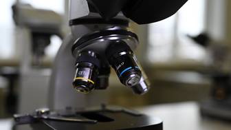 Nikon зарегистрировала товарный знак в России