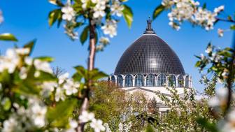 На ВДНХ приступили к подготовке деревьев и кустарников к летнему сезону 