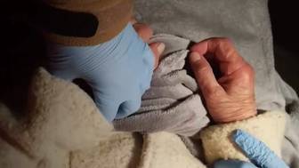 Восемь часов пролежала в снегу: 84-летнюю пенсионерку спасли в Подмосковье