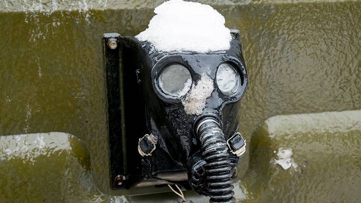 Фото: Дмитрий Дубинский / Вечерняя Москва