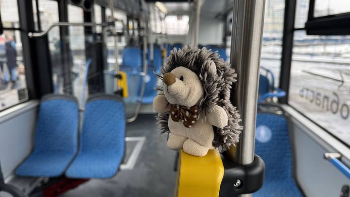 Фото: Анатолий Цымбалюк / Вечерняя Москва